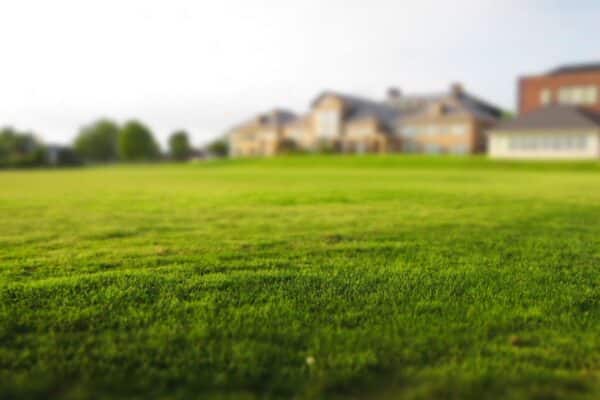 What Is Full Service Lawn Care?